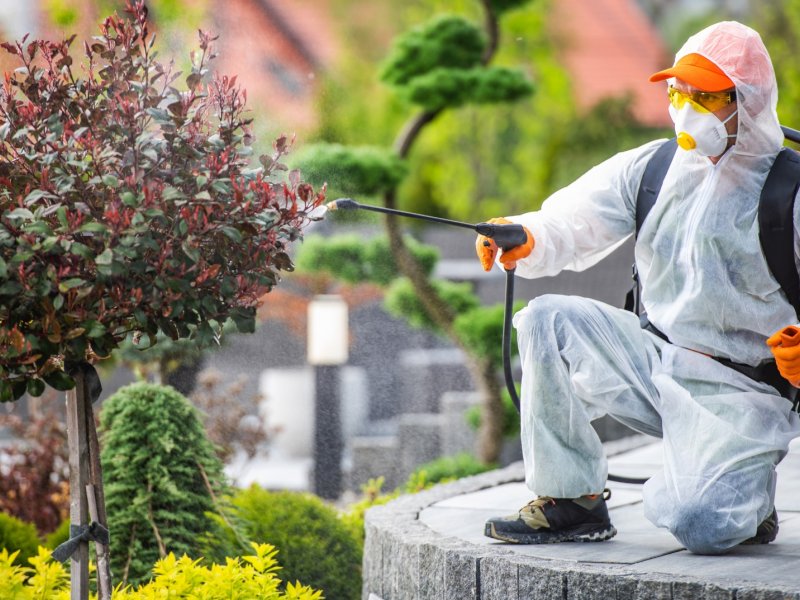 Ulukent Haşere İlaçlama